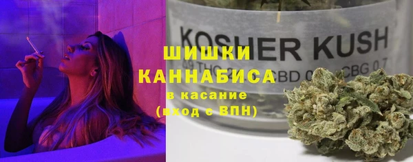 гашик Кодинск