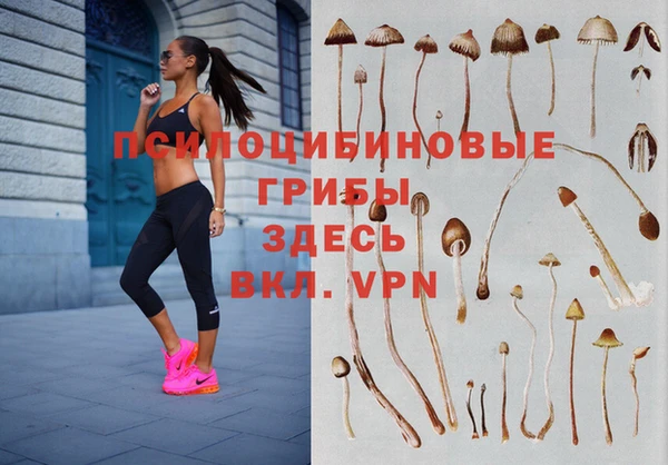 метадон Козельск
