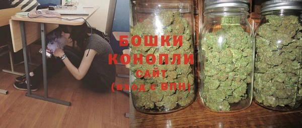 прущие грибы Костерёво