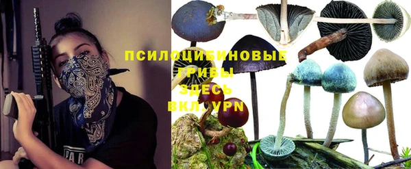 скорость mdpv Козловка