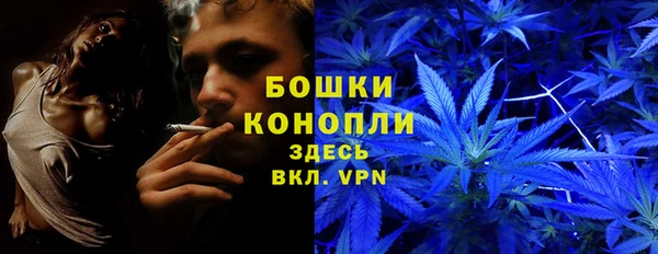 гашик Кодинск