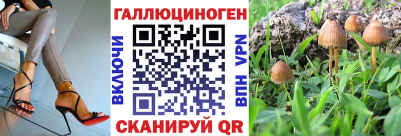 Купить закладки  Зеленодольск  Псилоцибиновые грибы Magic Shrooms 
